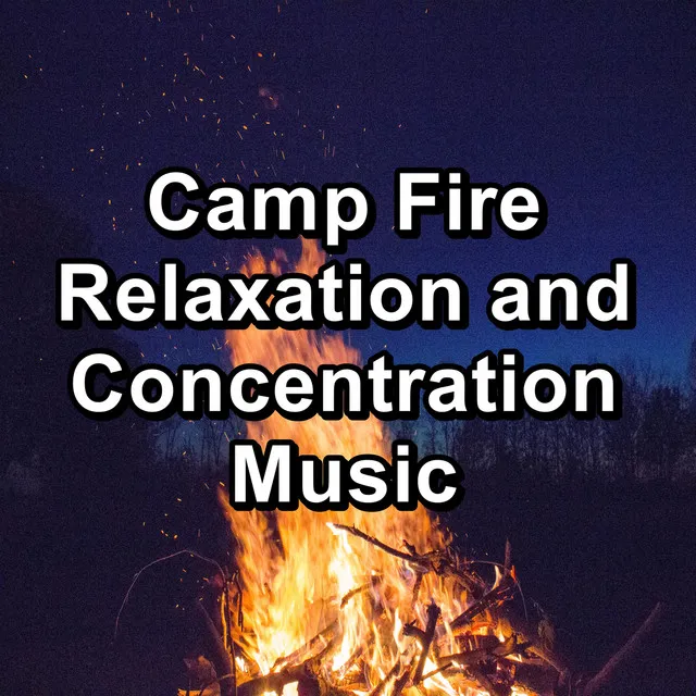 Fire Place Sounds For Studying For Adults and Babies