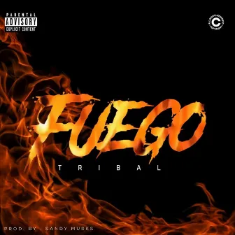 Fuego by Tribal