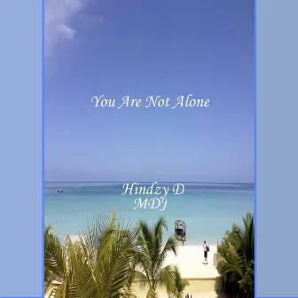 You Are Not Alone by Hindzy D