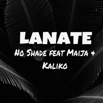 No Shade by Lanate