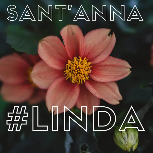 #Linda