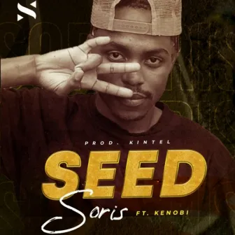 Seed by S.O.R.I.S