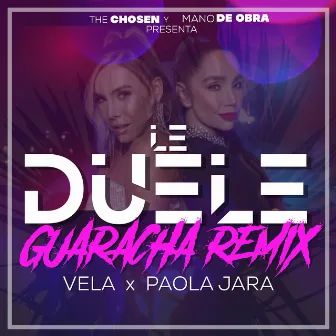 Le Duele Guaracha Remix by Vela