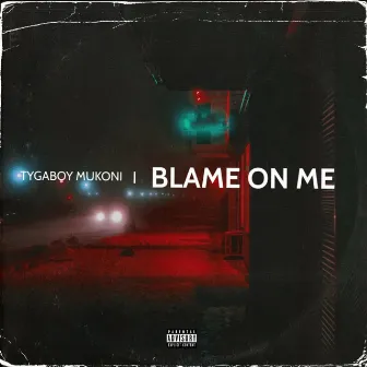 Blame on me by Tygaboy Mukoni