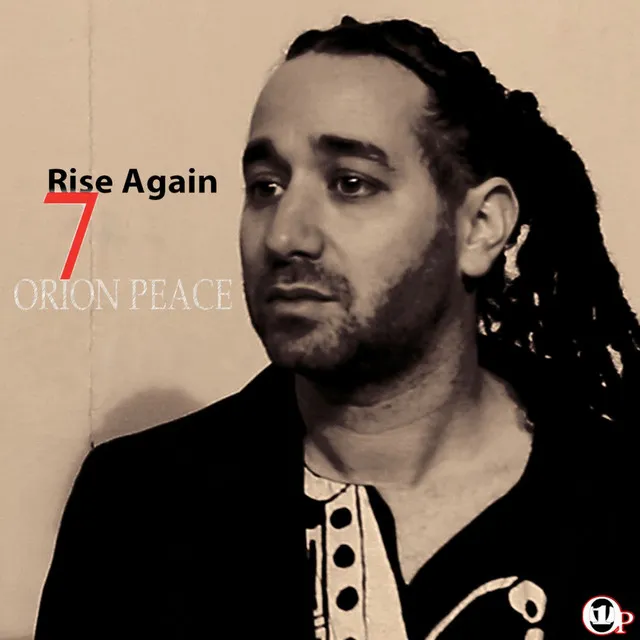 Rise Again (feat. Seun Kuti) - Single