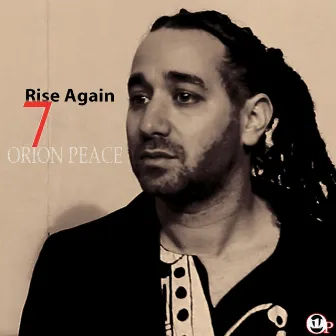 Rise Again (feat. Seun Kuti) - Single by OP1