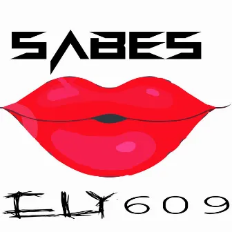 SABES by Unknown Artist