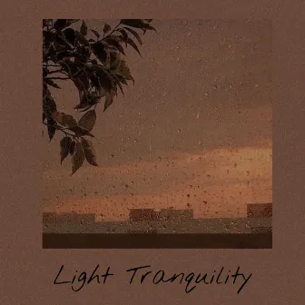 Light Tranquility by Unknown Artist