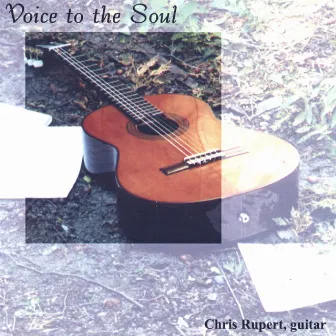 Voice to the Soul by 