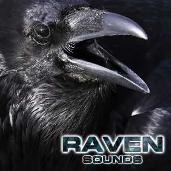 Raven Sounds by Nature Sounds New Age