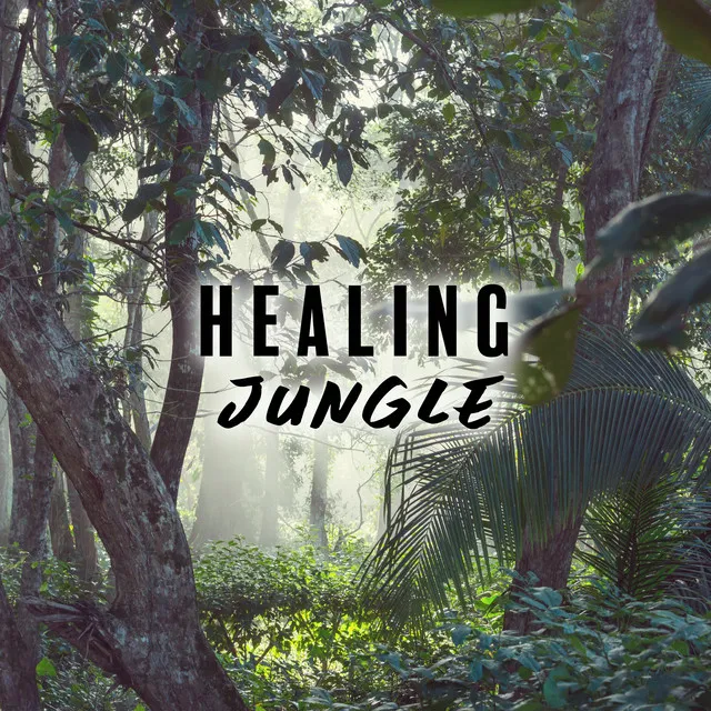 Healing Jungle: Tropical Relaxation, Forest, Natural Atmosphere