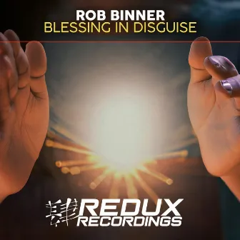 Blessing in Disguise by Rob Binner