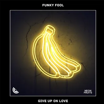 Give Up On Love by Funky Fool