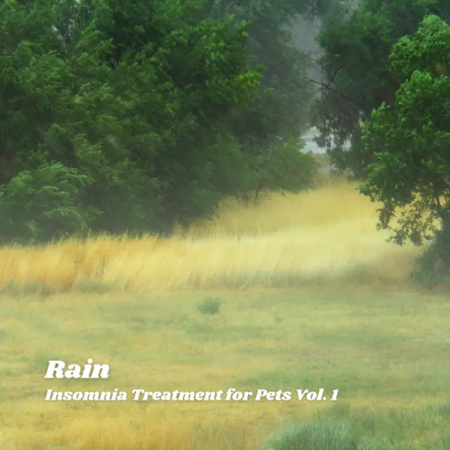 Rain: Insomnia Treatment for Pets Vol. 1