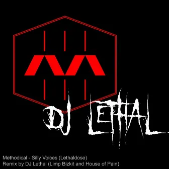 Silly Voices (DJ Lethal Remix) by DJ Lethal