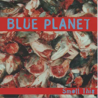 Smell This by Blue Planet