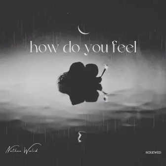 how do you feel (Screwed) by Nathan Walid