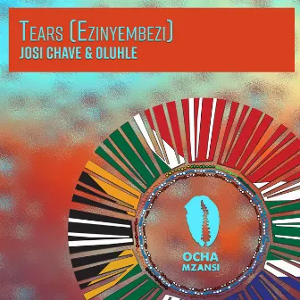 Tears (Ezinyembezi) by Josi Chave