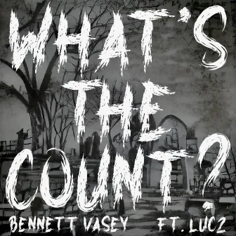 What's the Count? by Bennett Vasey