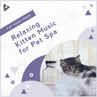 Relaxing Kitten Music for Pet Spa by Cat Music Hour