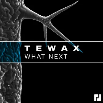 What Next by Tewax