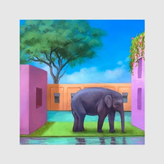 Elephant In The Room by KOREA TOWN ACID