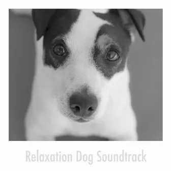 Relaxation Dog Soundtrack by Calming Dog Relaxation