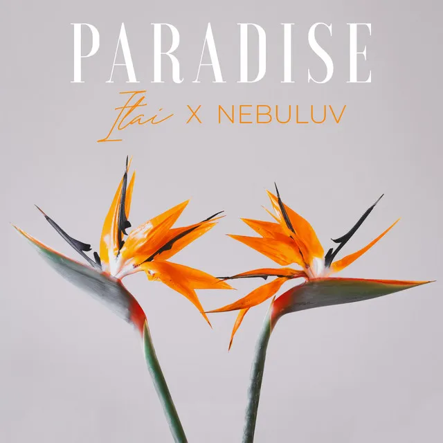 Paradise - Nebuluv Remix