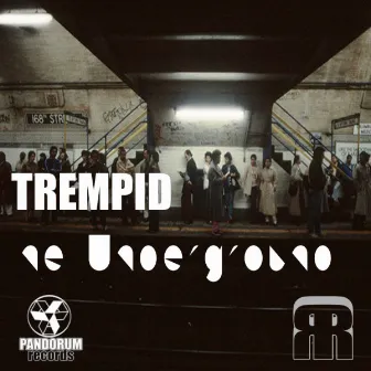 The Underground by Trempid