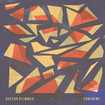 Sunshine by Hector Plimmer