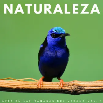 Naturaleza: Aves En Las Mañanas Del Verano Vol. 1 by Radio 1 Pajaros y Ranas