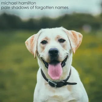 Pale Shadows of Forgotten Names by Michael Hamilton