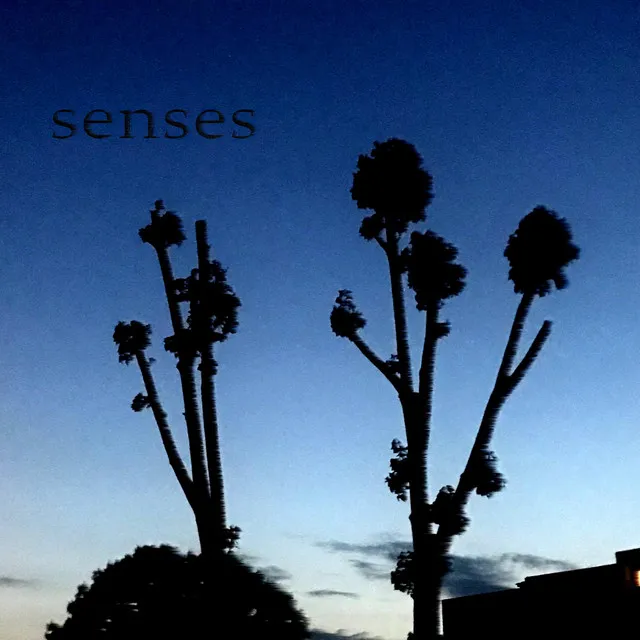 senses