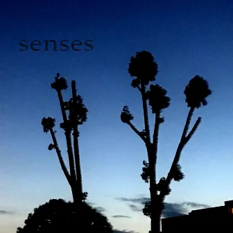 senses by sybik