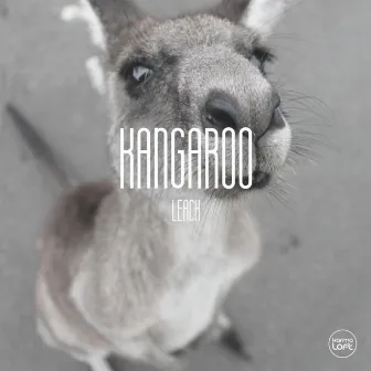 Kangaroo by Leach