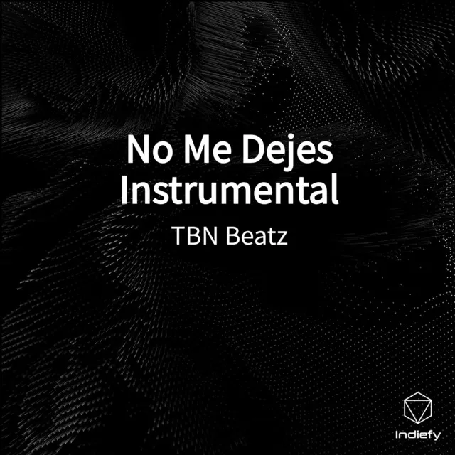 No Me Dejes (Instrumental)