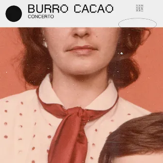 Burro Cacao by Concerto