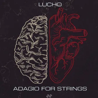 Adagio for Strings by Lucho