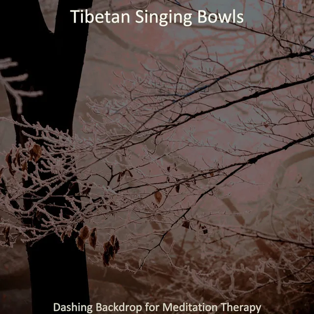 Grand Singing Bowls and Dizi - Vibe for Yoga Radiance