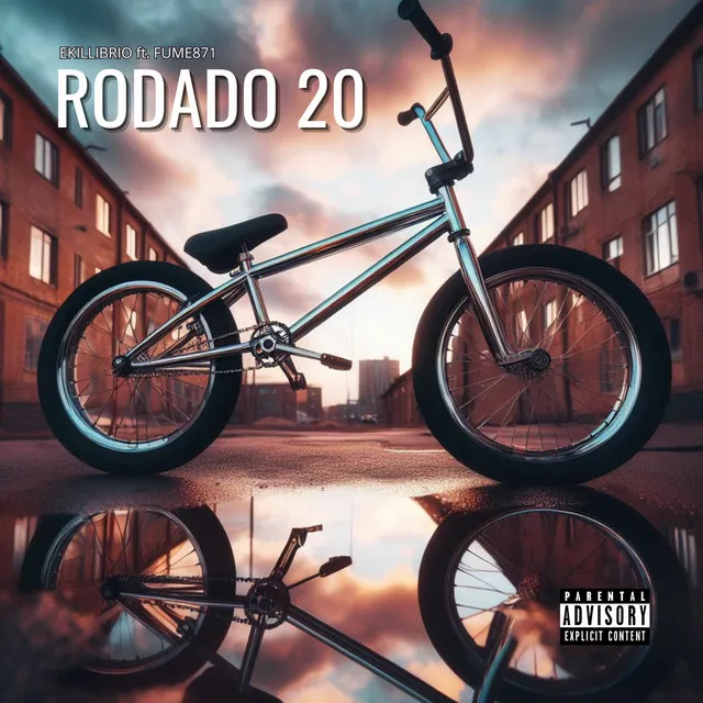 Rodado 20