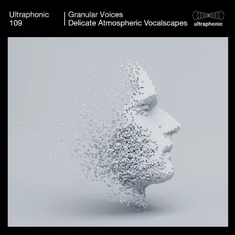 Granular Voices (Delicate Atmospheric Vocalscapes) by Unknown Artist