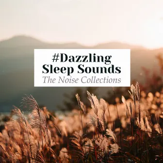 #Dazzling Sleep Sounds by The Noise Collections