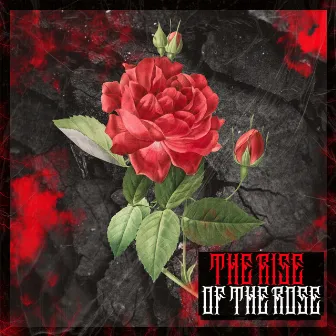 The Rise of The Rose by DJ O.G.ONE