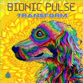 Transform by Bionic Pulse