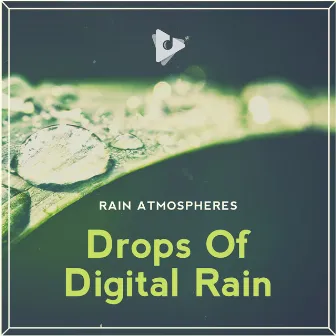 Drops Of Digital Rain by Rain Atmospheres