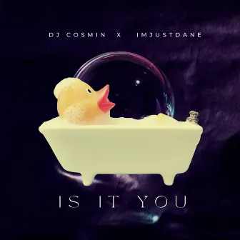 Is It You by DJ Cosmin