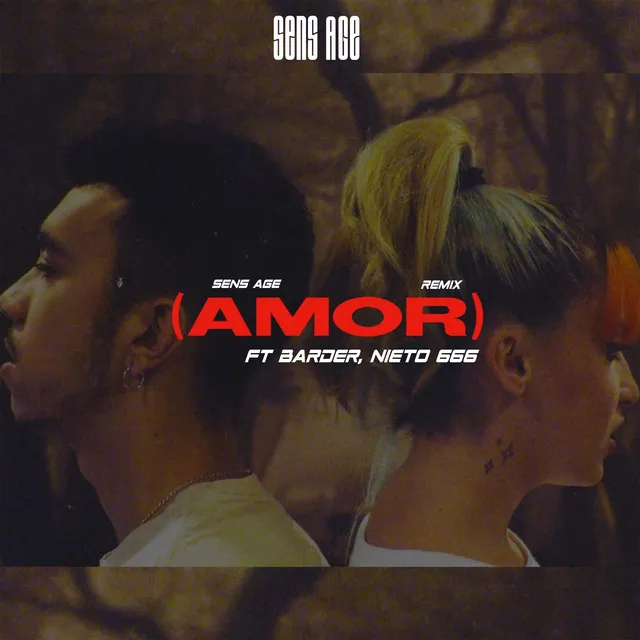 Amor - Remix