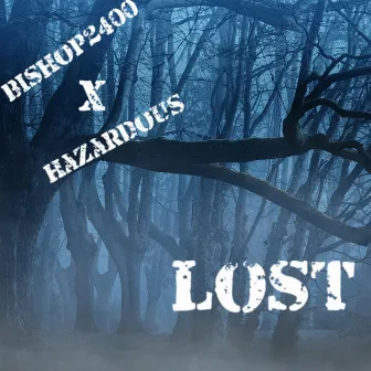 Lost by Hazardous