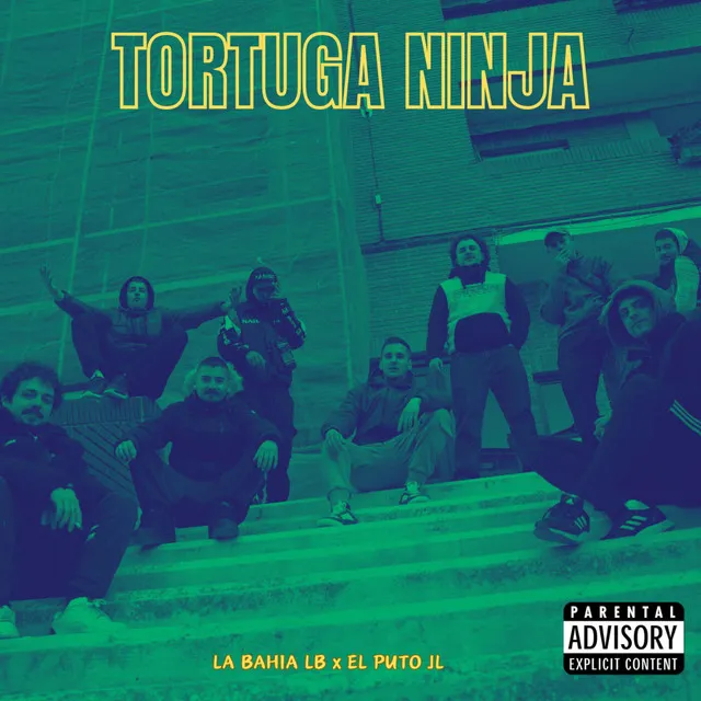 Tortuga Ninja