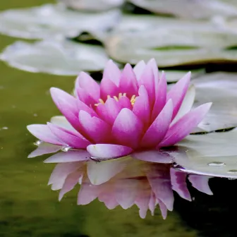 Relaxing Zen Garden by Gary Robins